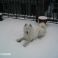 Nube en la nieve